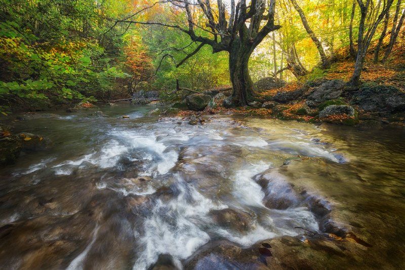 *** фото превью