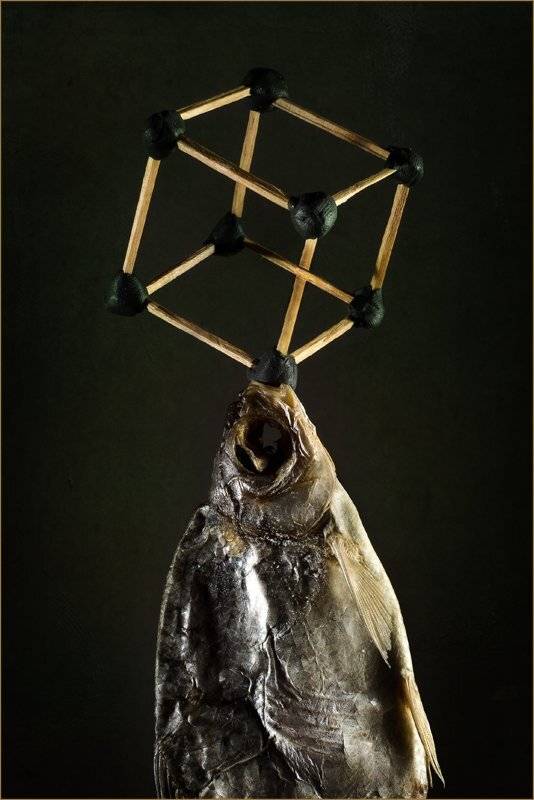 , Лев Сердюков