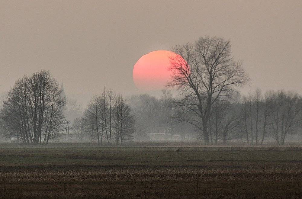 , Pawel Plucinski