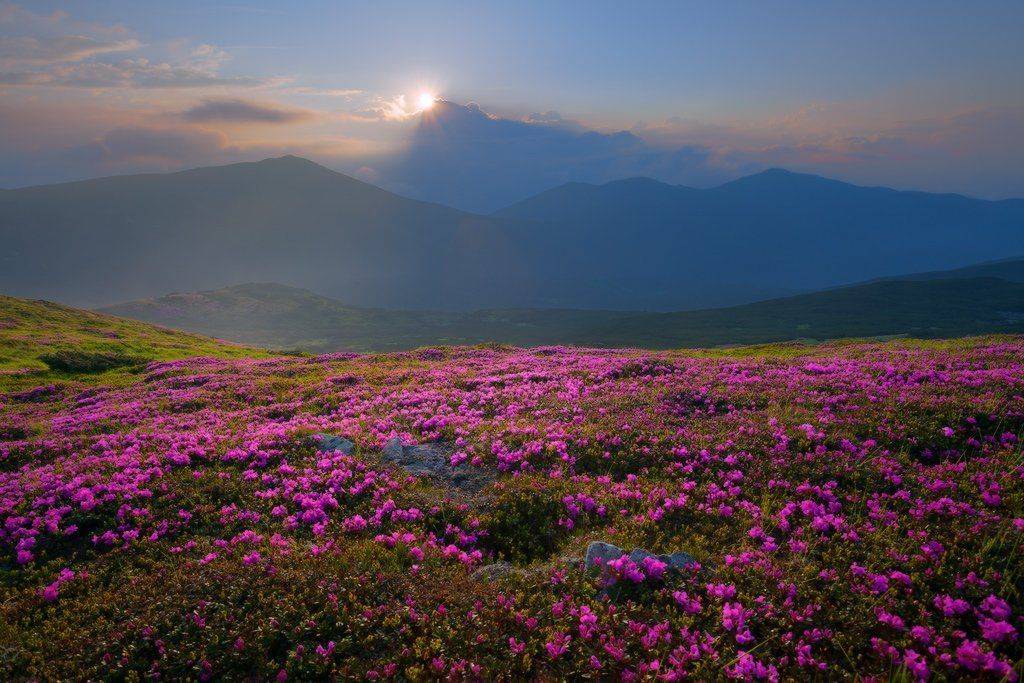 , Ярослав Тюрменко (Jaremi)