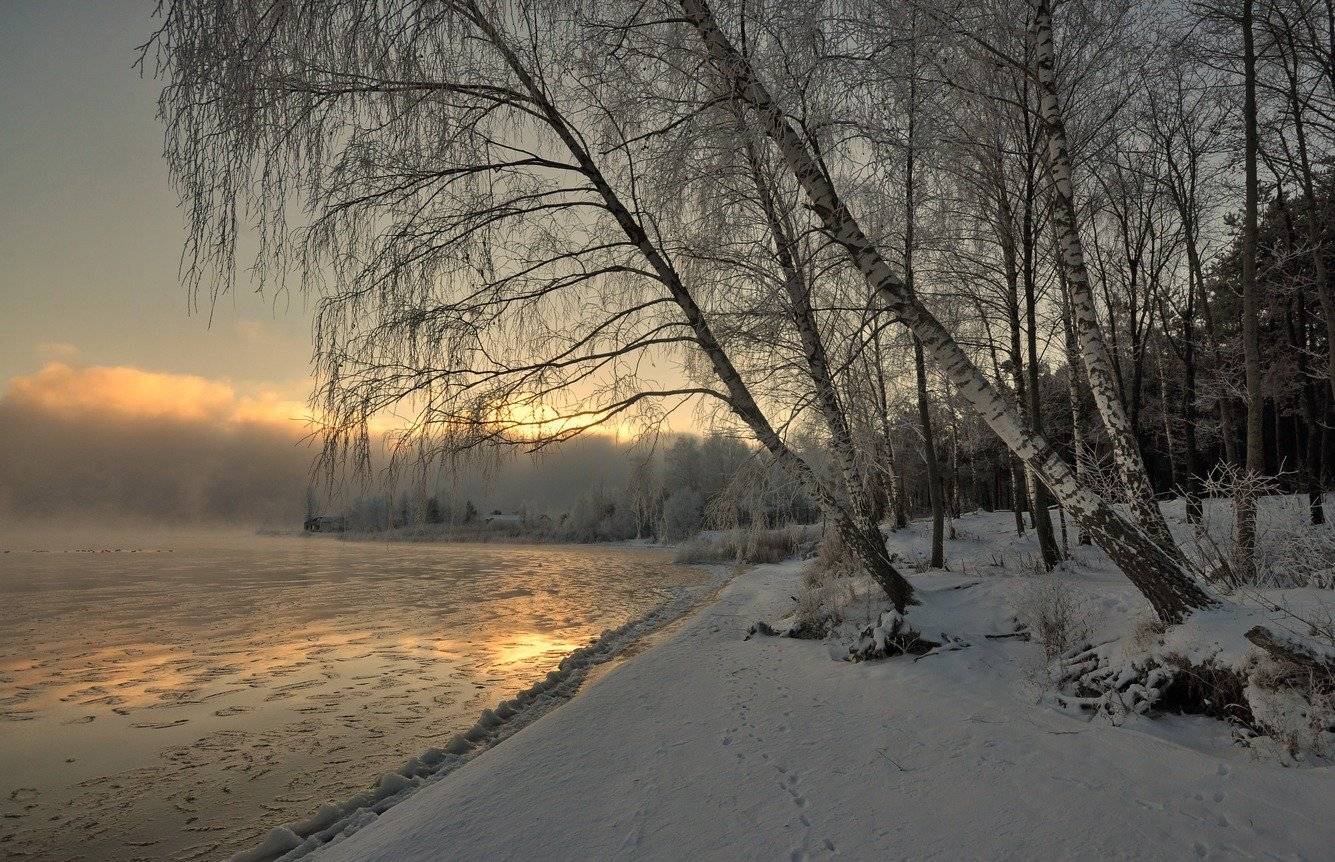 , Володимир Карчевський