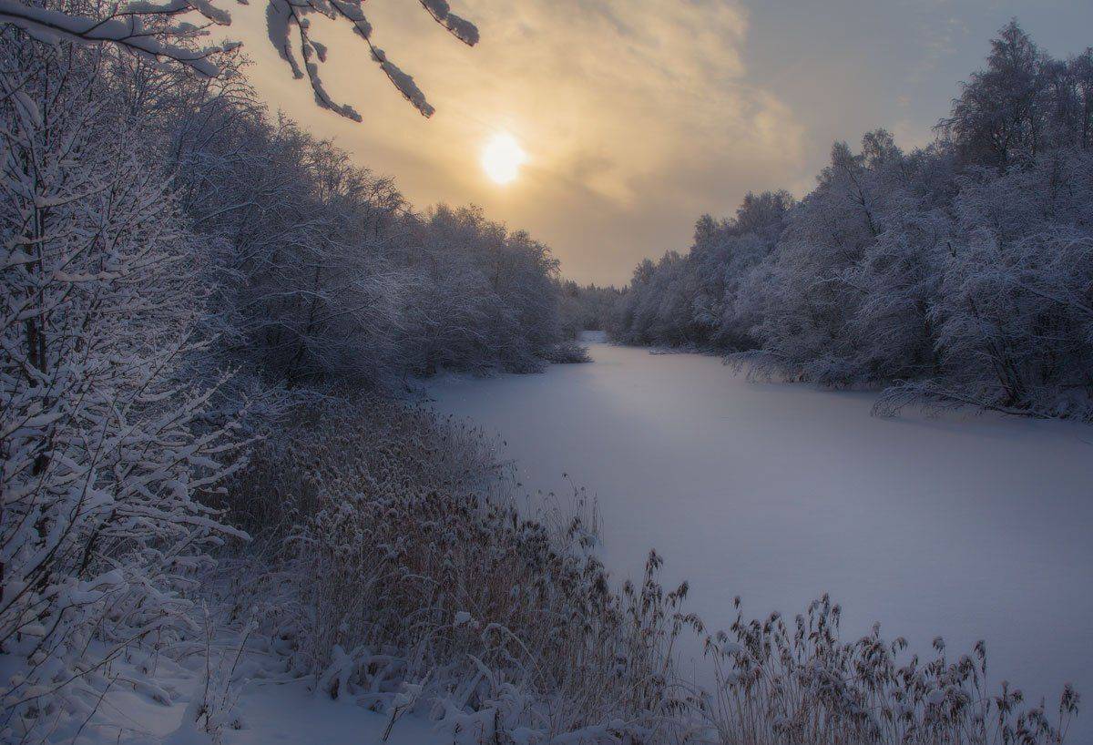 , Хохряков Николай