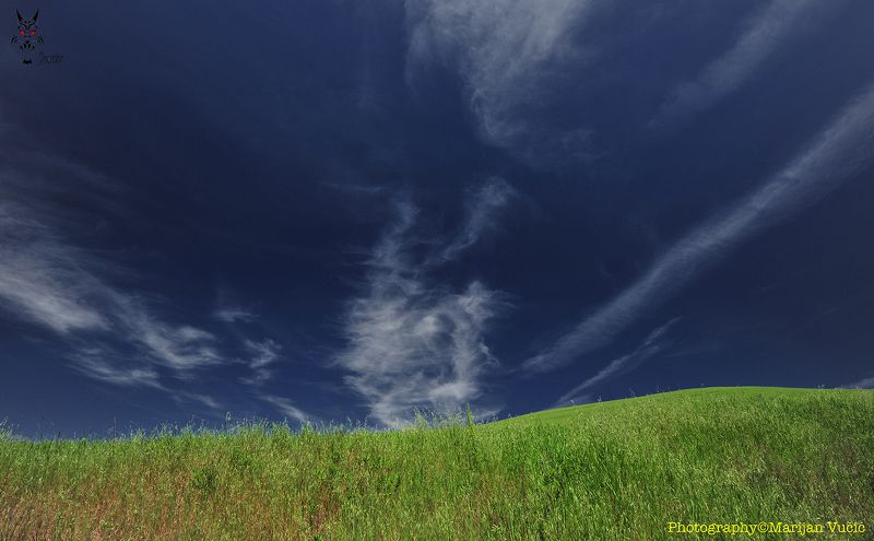 Harp фото превью