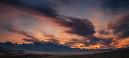 Курайская степь