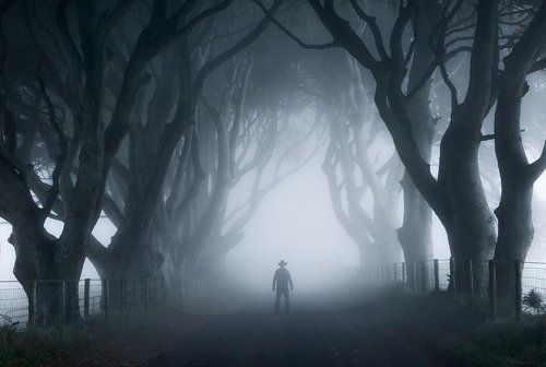 The Dark Hedges 