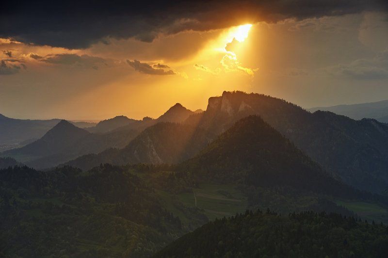 This moment фото превью