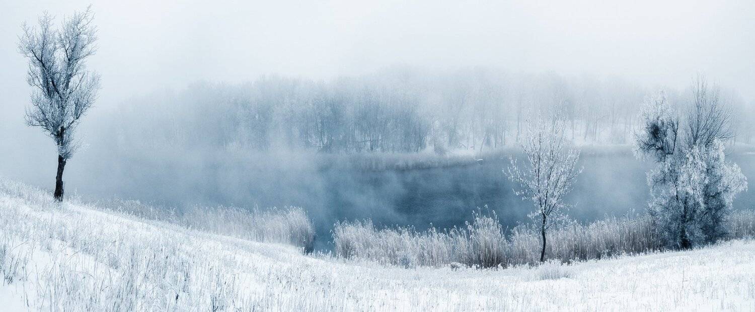 , Игорь Мелекесцев