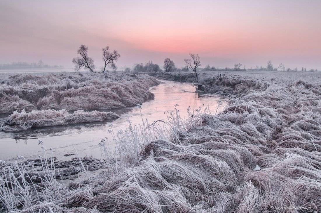 , Katarzyna Gritzmann