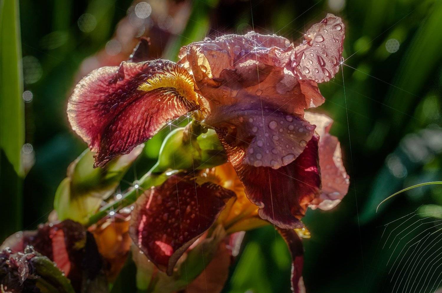 , Андрей Леонидович