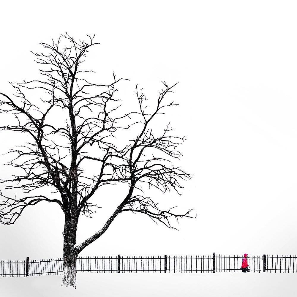 , Сидоренко Алексей