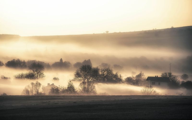 House, Landscape, Mist, Sun, Sunrise Gold Mist фото превью