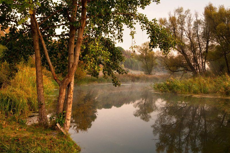 Утро на реке фото превью