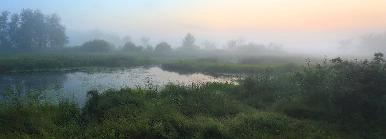 , Дмитрий Алексеев