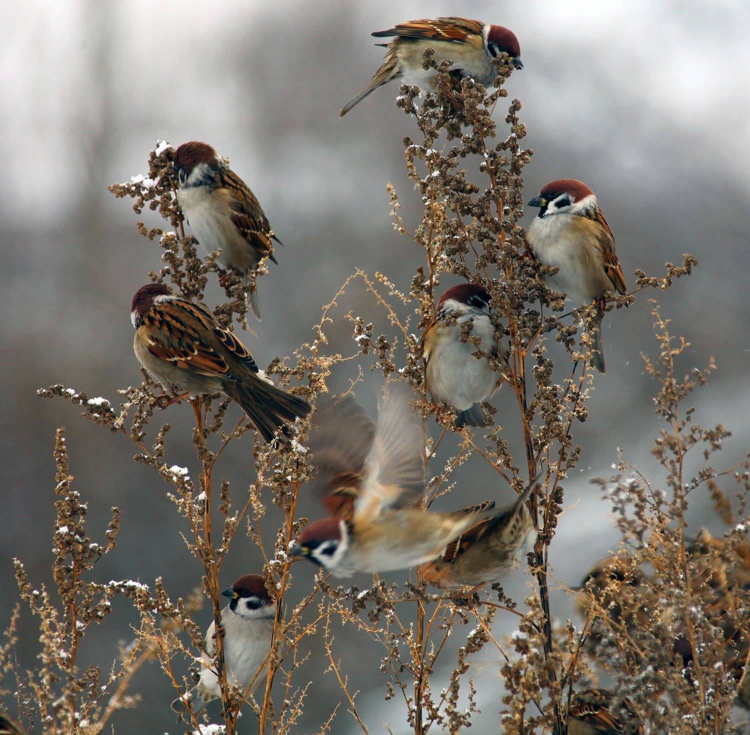 , Лихарев Александр