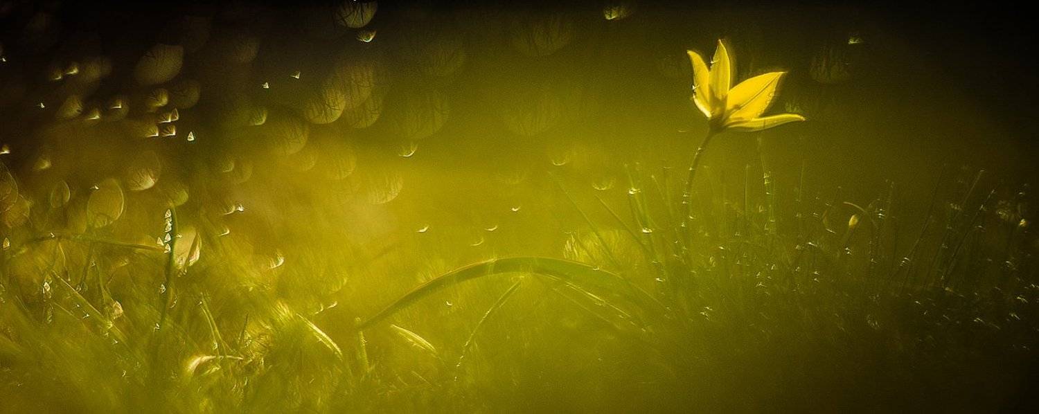 Гелиос 40-2, Татьяна Аверина