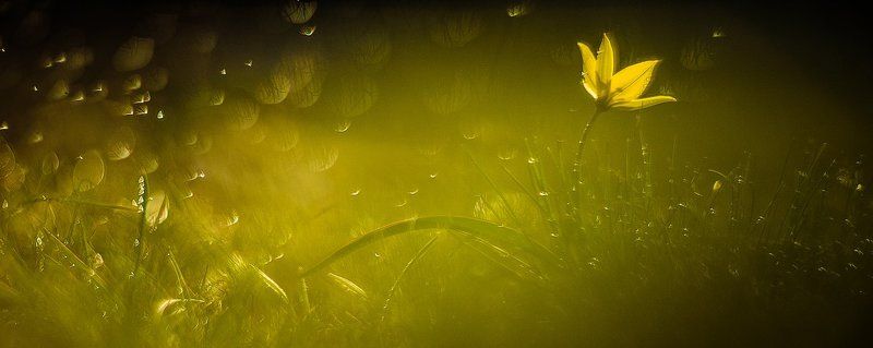 Гелиос 40-2 ...в ожидании... фото превью