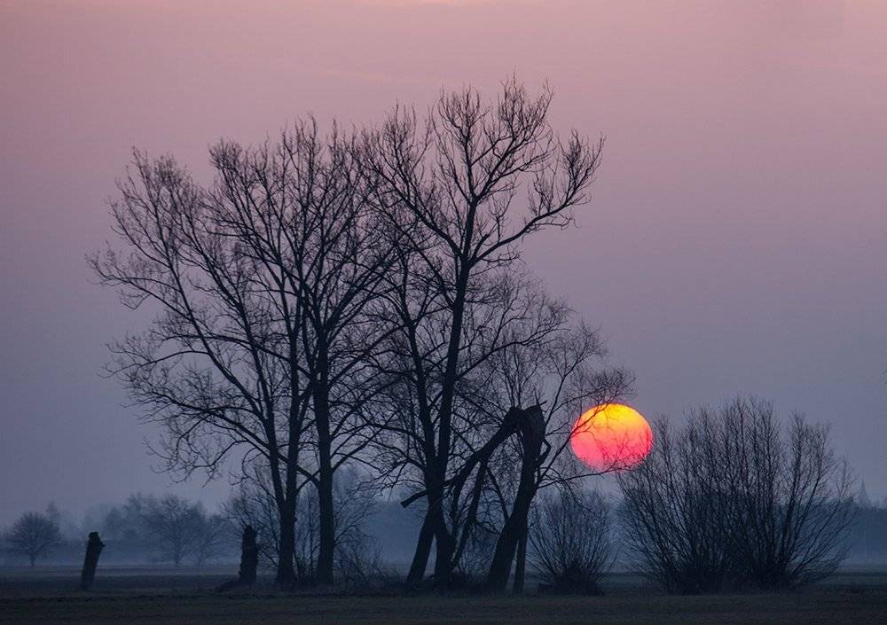 , Pawel Plucinski
