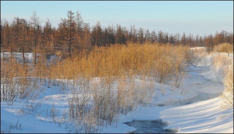 Солнечный денек фото превью