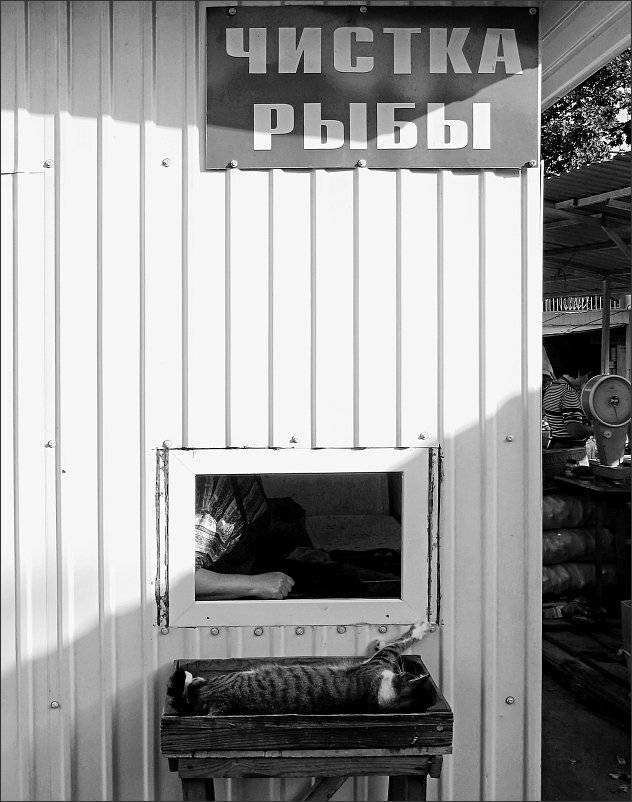 , Сергей Фудиненко