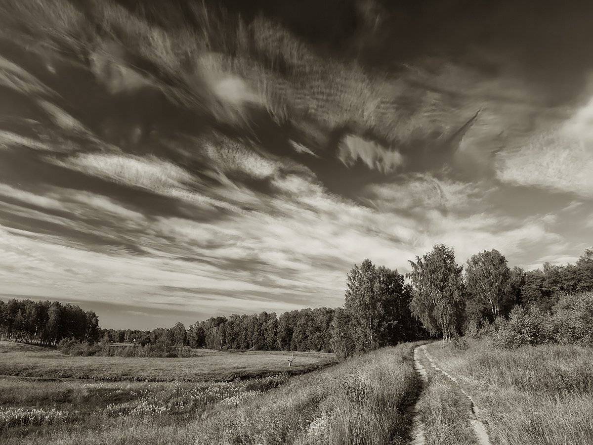 , Владимир Перепечаев