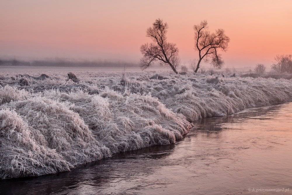 , Katarzyna Gritzmann