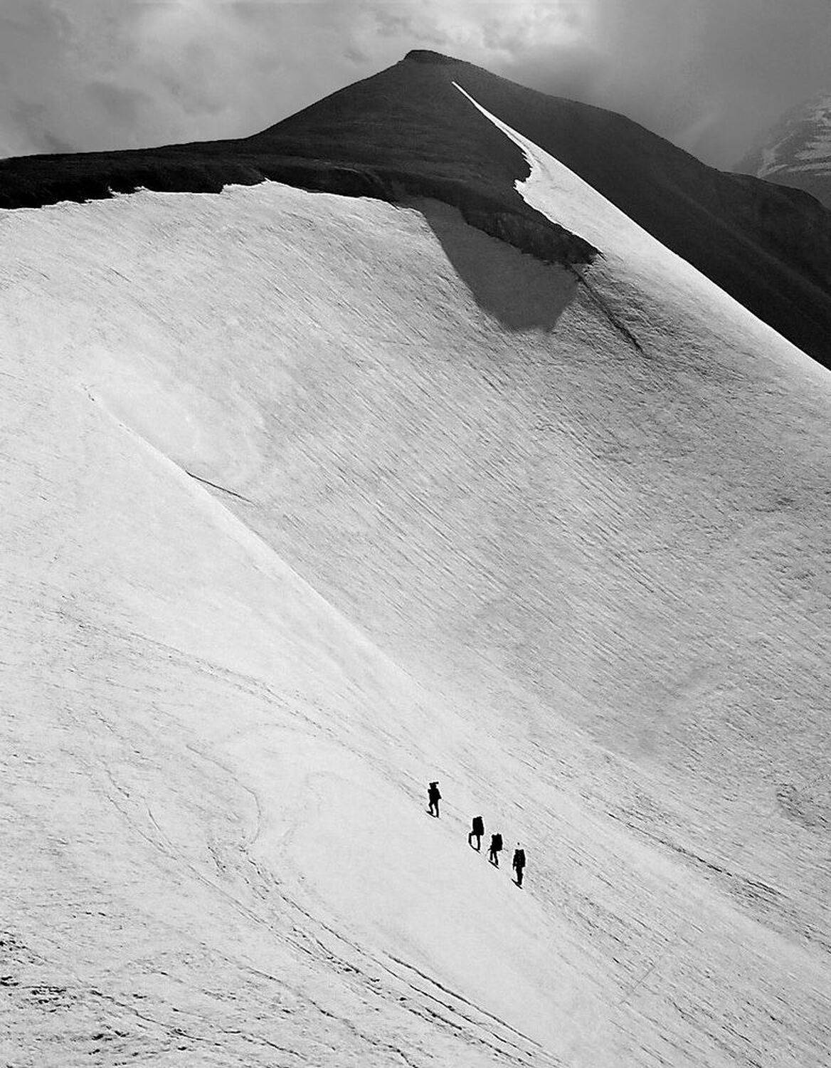 , Милокост Алексей