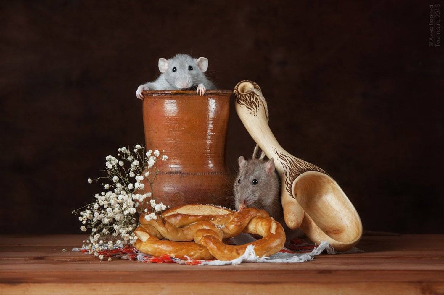 , Тюрина Анна