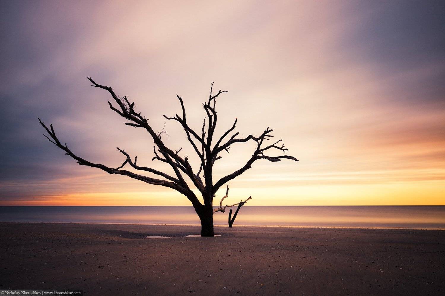 #BotanyBay, #landscape, #SouthCarolina, #USA, #пейзаж, Николай Хорошков