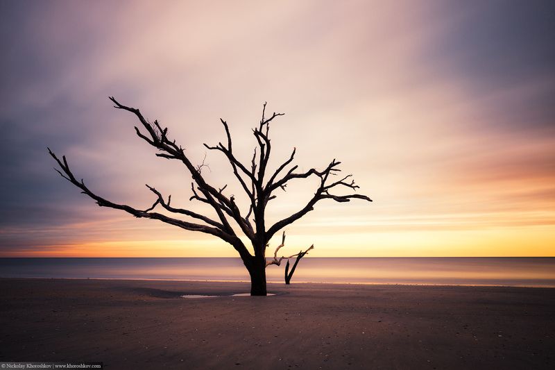 #BotanyBay, #landscape, #SouthCarolina, #USA, #пейзаж Сумерки фото превью