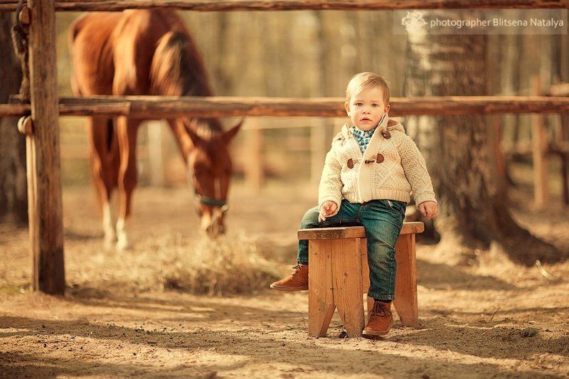 Ранчо. фото превью