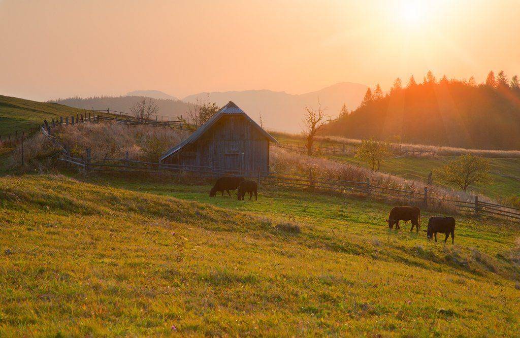 , Ярослав Тюрменко (Jaremi)