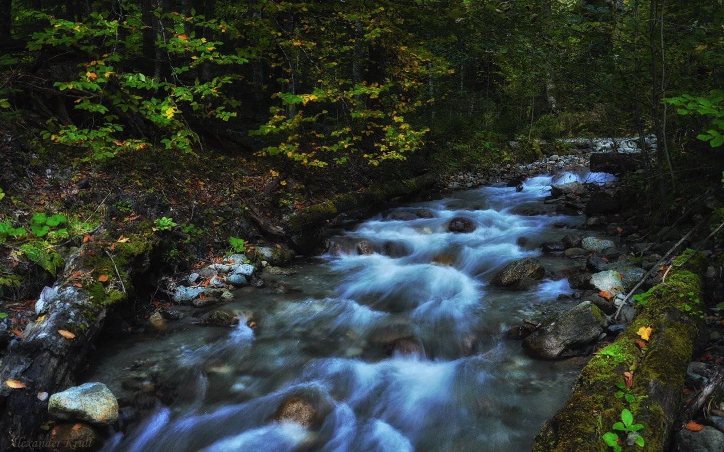 кавказ, кчр, Александр Круль