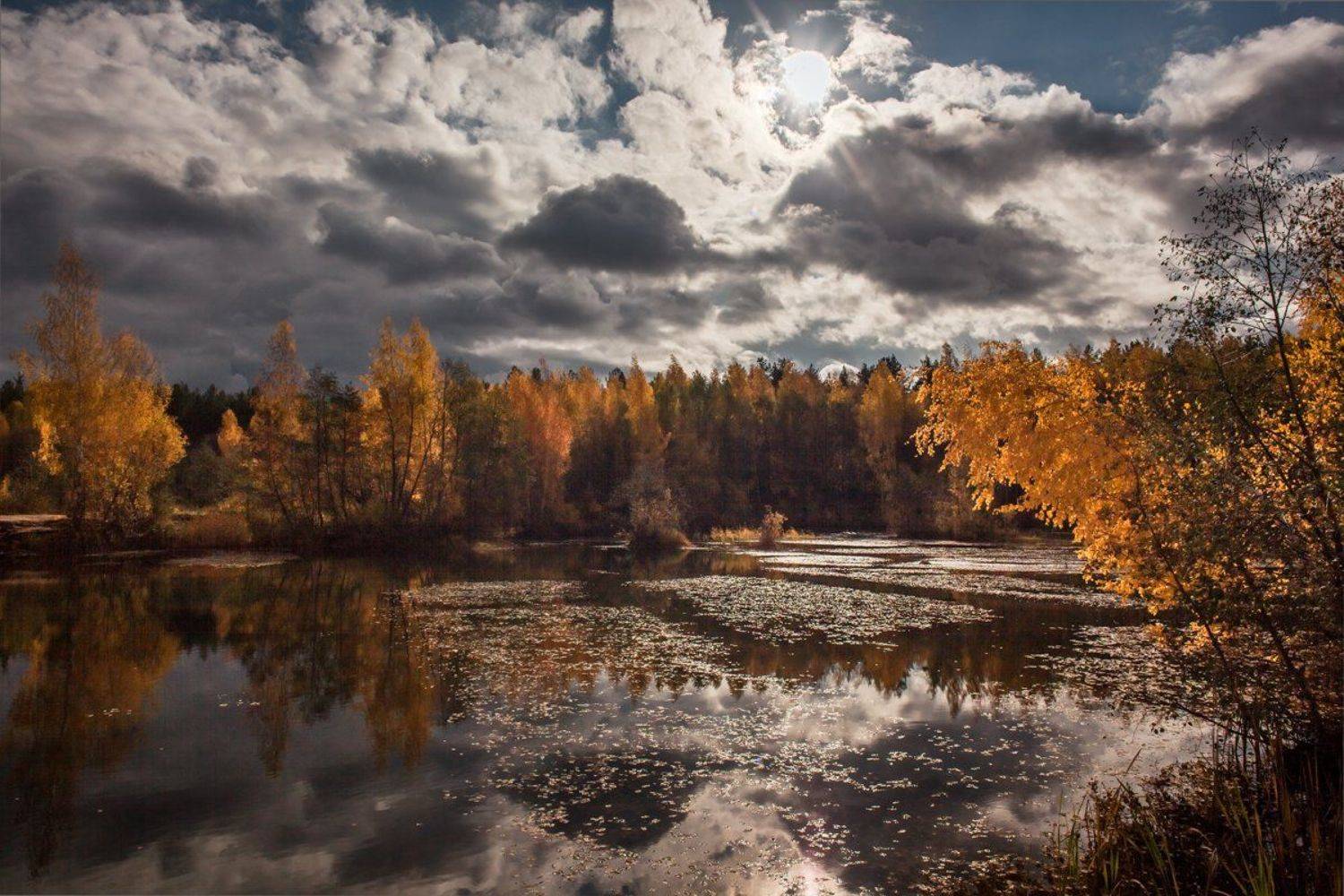 , Евгений Цветков
