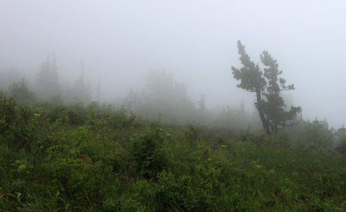 Непогода нынче в моде