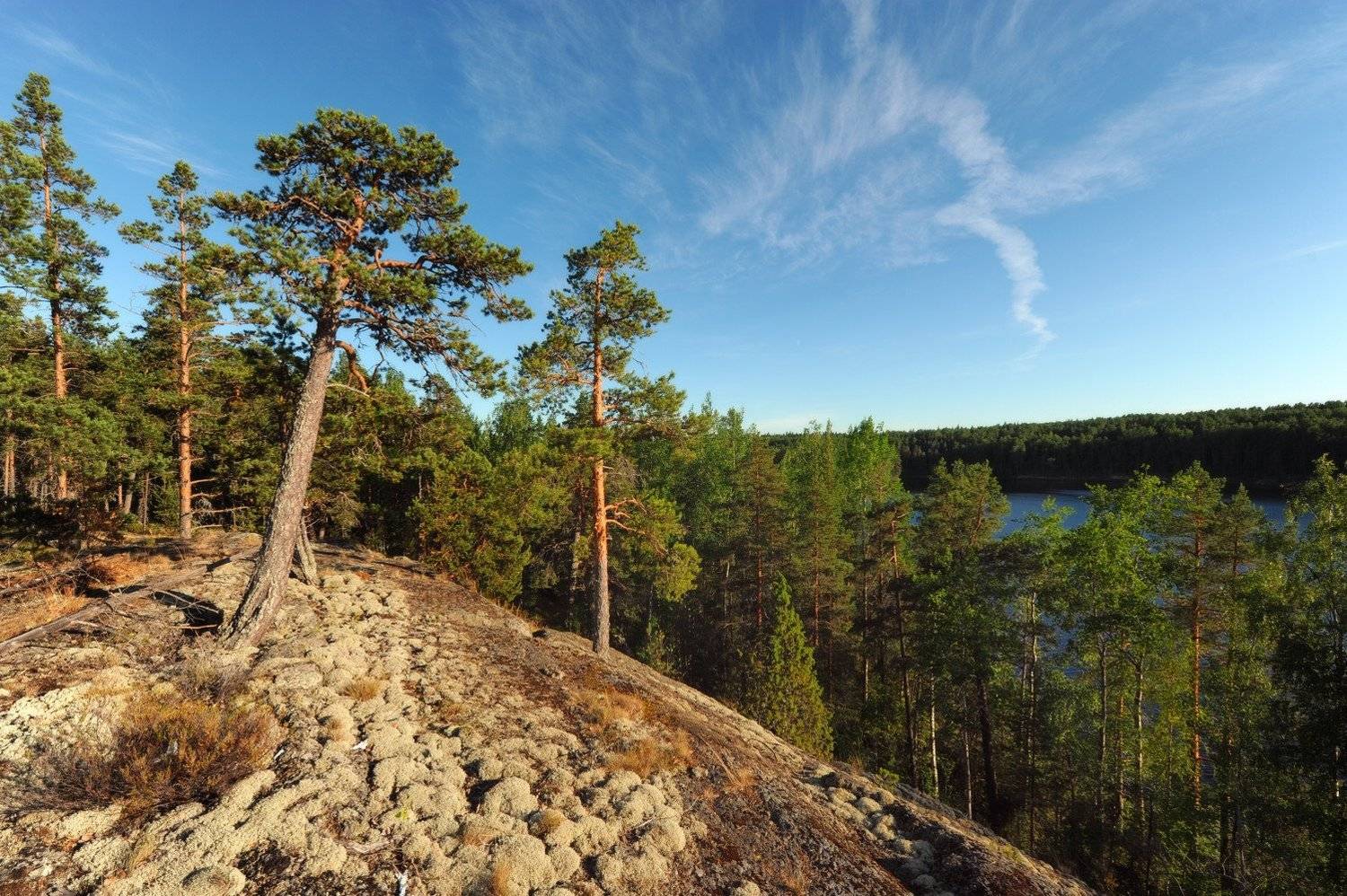 , Сергей Седов