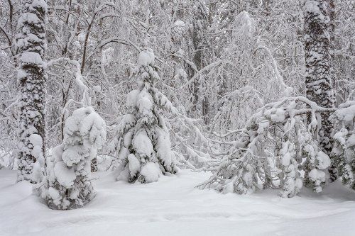 последний день зимы