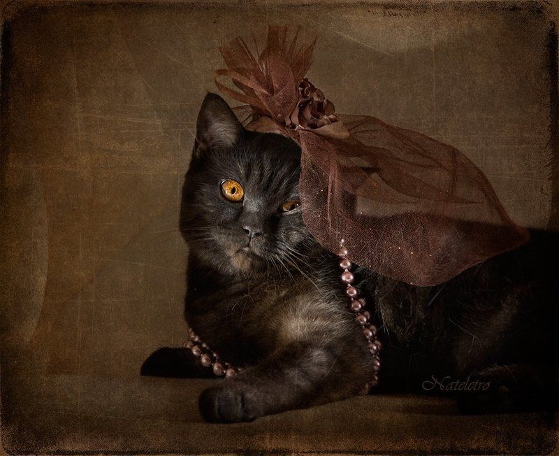 ~***~ фото превью