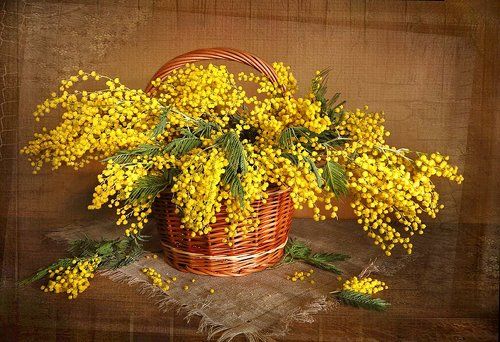 Дыхание весны!