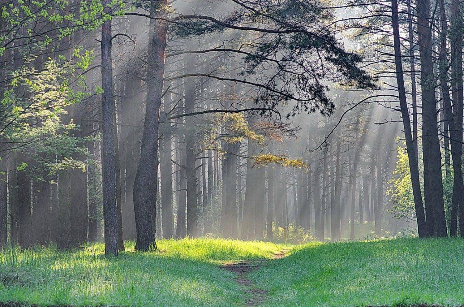 , Володя Демидчик