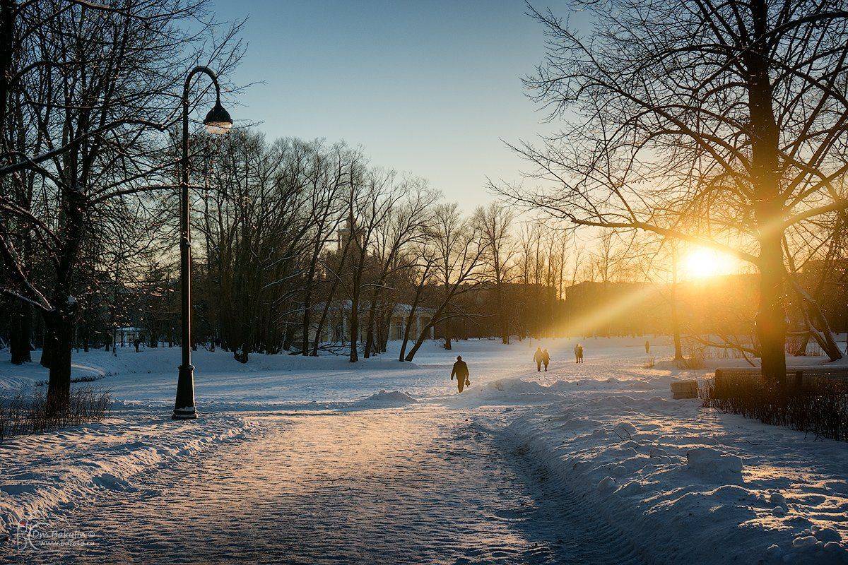 , Дмитрий Бакулин