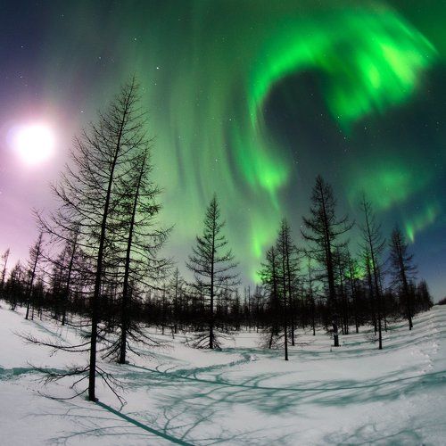 Луна и сияние