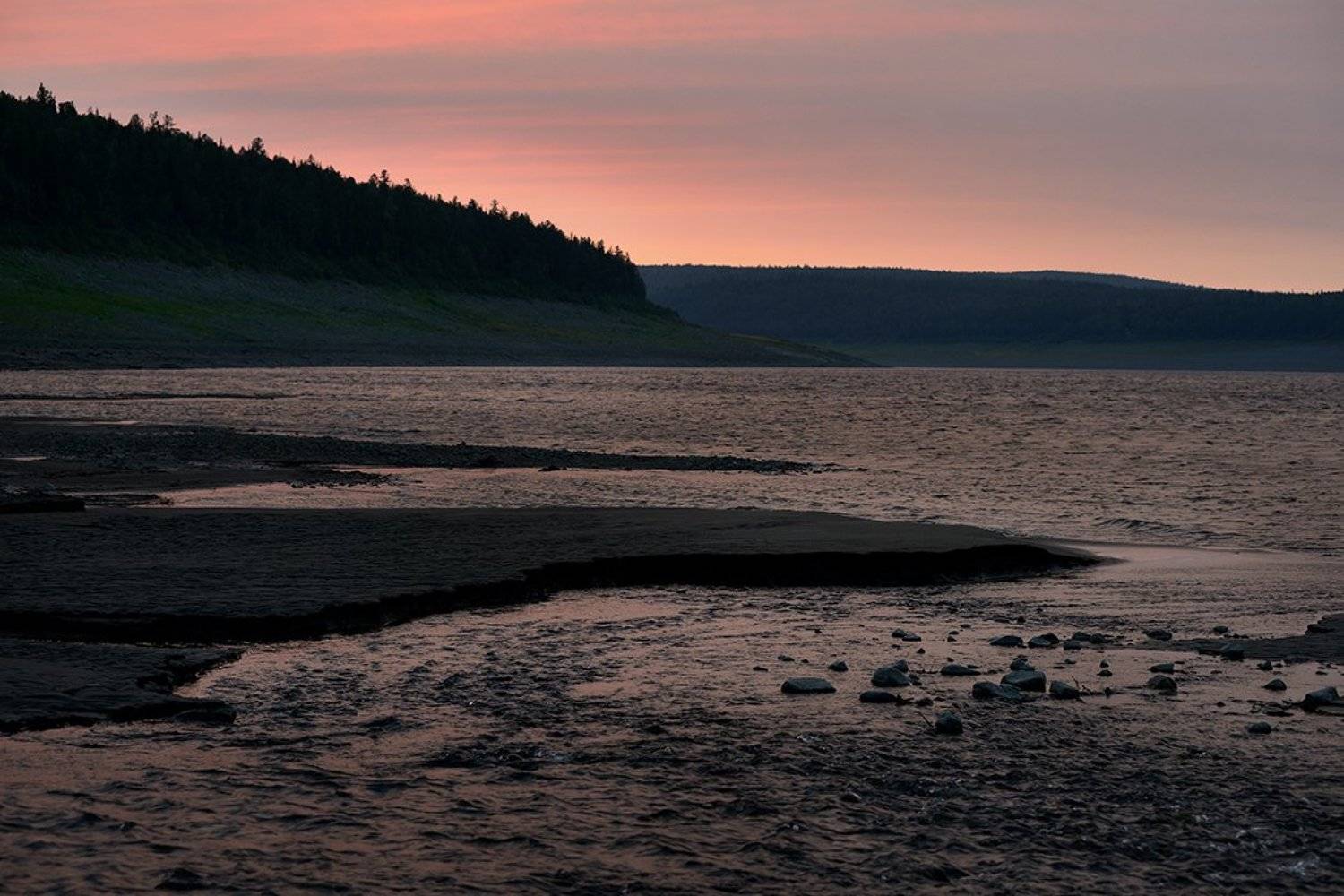 , Владимир Пчелинцев