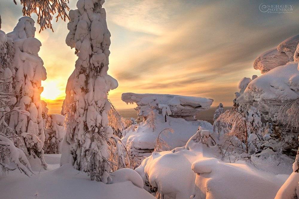, Сергей Сотников
