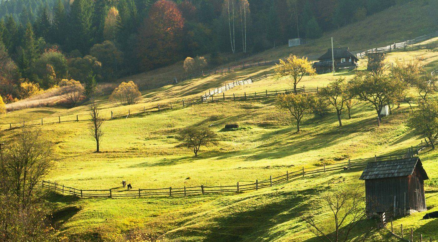 , Валерий Смирнов