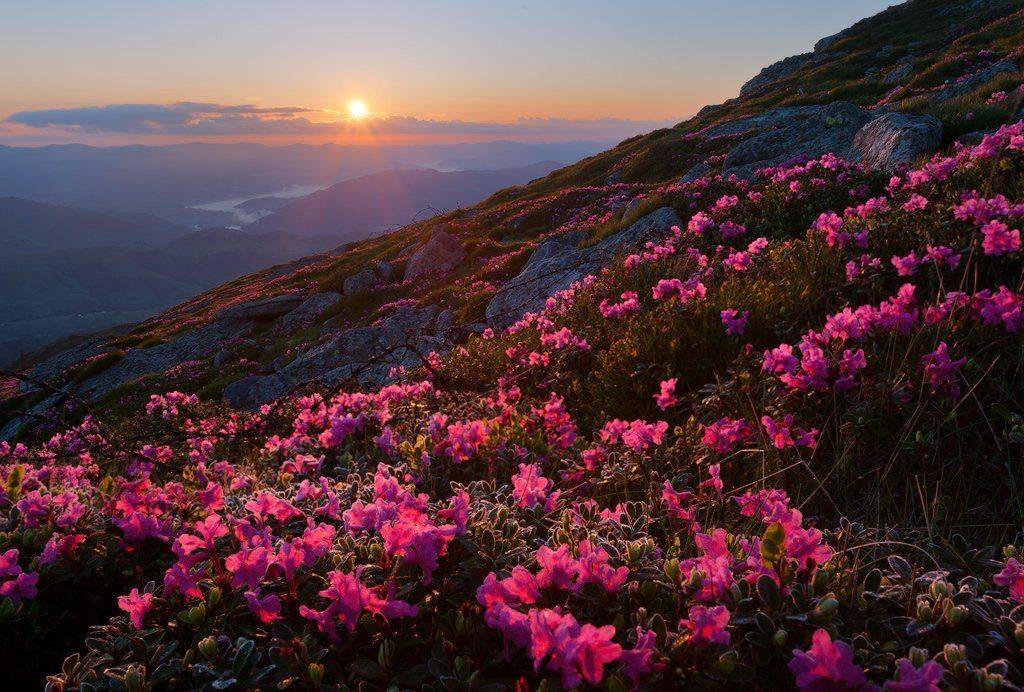 , Ярослав Тюрменко (Jaremi)