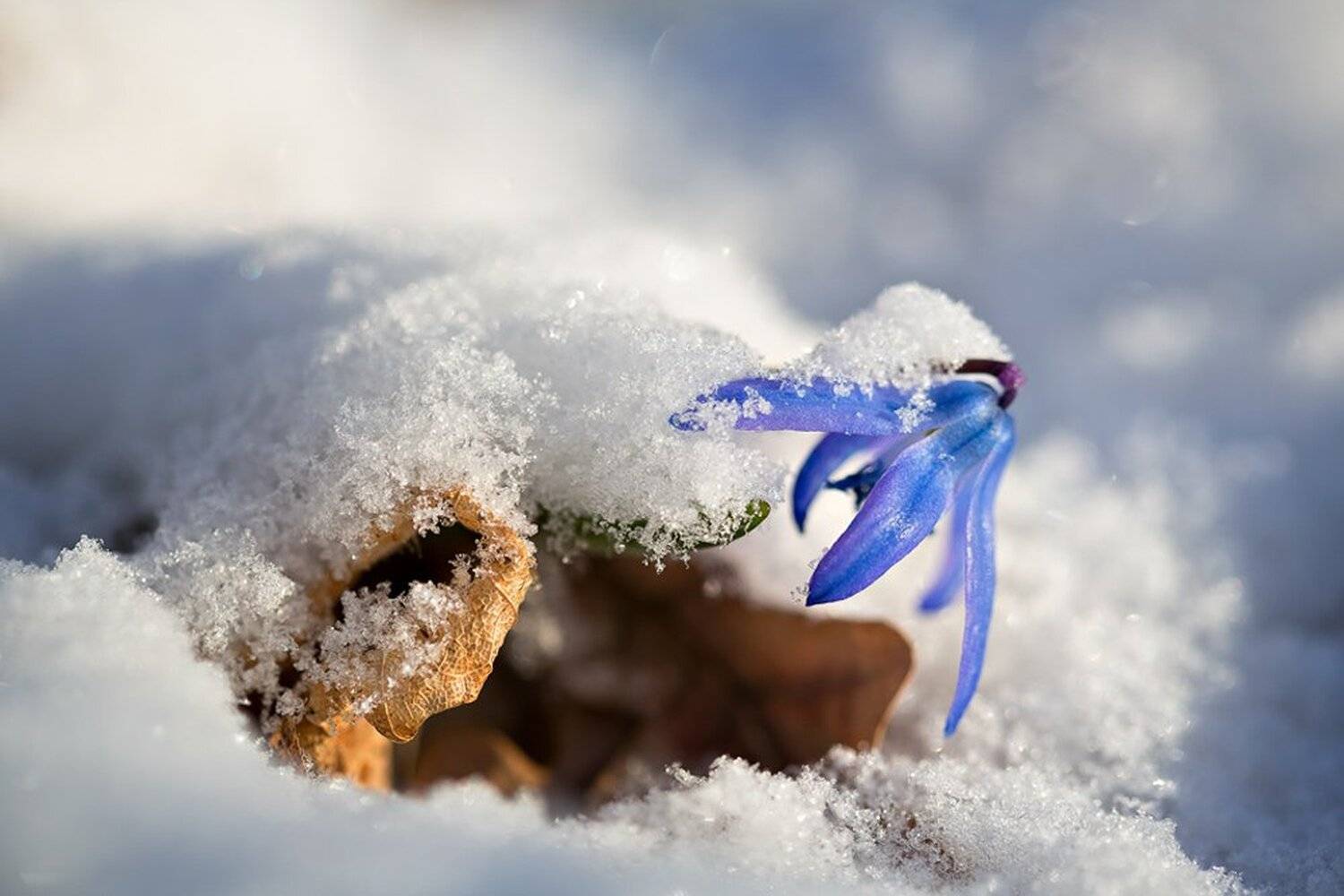 , Юрий Сорокин