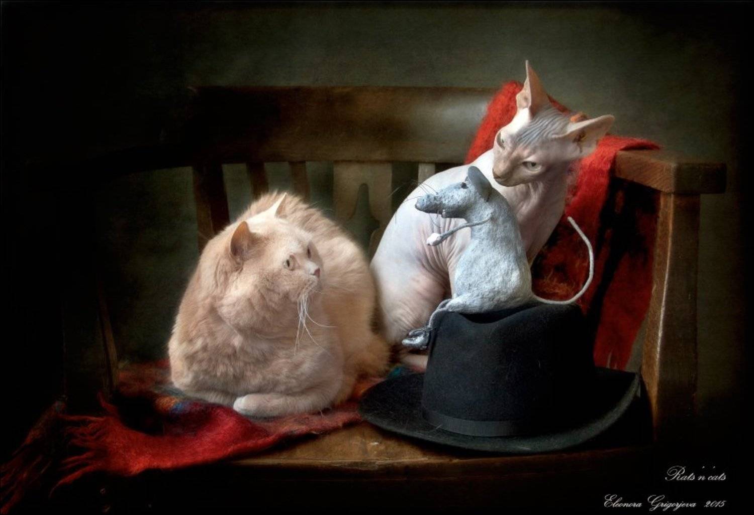 Кот, Кошки-мышки, Натюркотики, Стул, Сфинкс, Шарф, Шляпа, Eleonora Grigorjeva