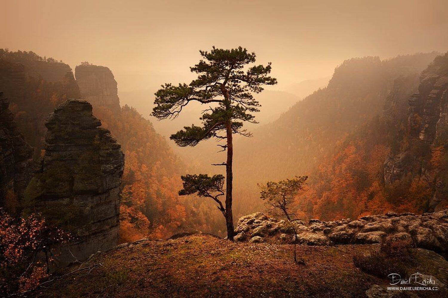 Autumn, Autumn colors, Autumn landscape, Bohemian Switzerland, Czech republic, Czech switzerland, Elbsandstein, Elbsandsteingebirge, Evening, Fog, Mist, Mountains, Pine, Roks, Valley, Daniel Řeřicha