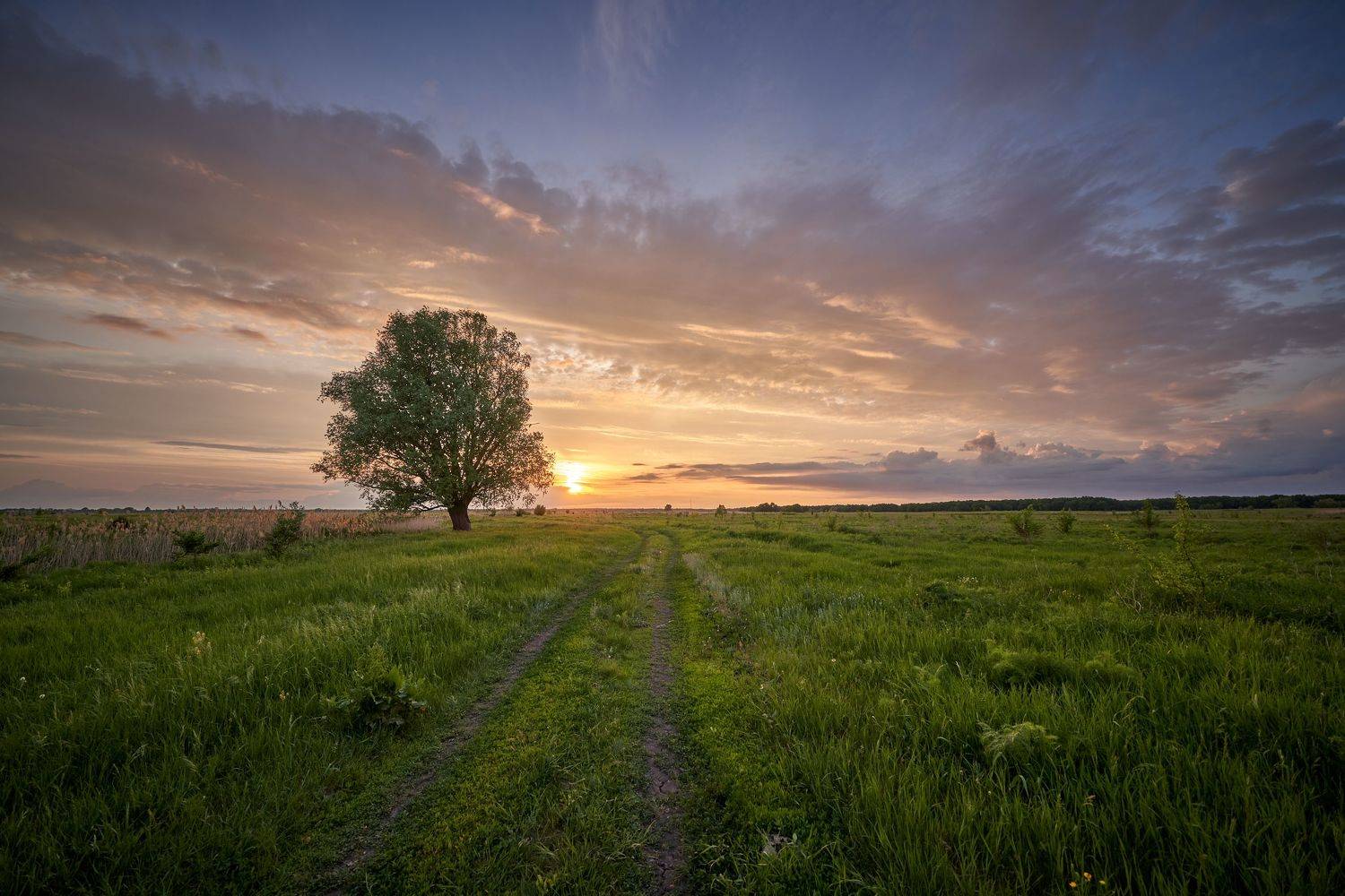 , Леденёв Сергей