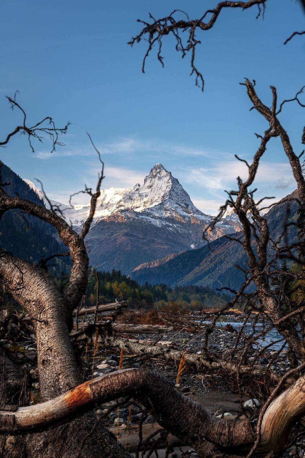 домбай, белалакая, кчр, карачаево-черкесия, теберда, тебердинский заповедник, кавказ, Уфимцев Юрий